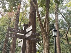 -墨池公园