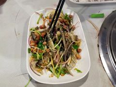 -章记正宗南岗鱼蛋火锅