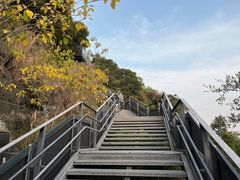 -福道