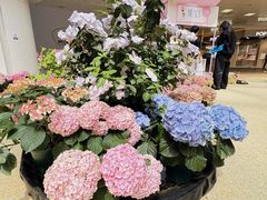 -上海长风大悦城