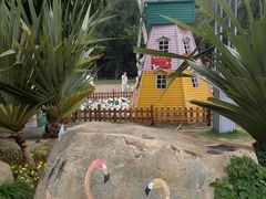 -野狸岛