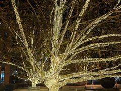 -北京市海淀外国语实验学校