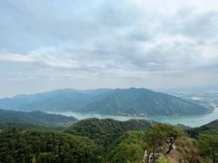 -羚羊峡古栈道森林公园