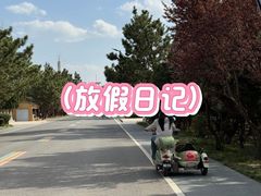 -山东八大碗山东老字号