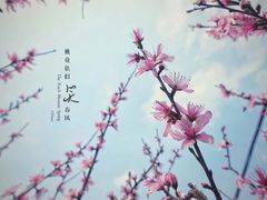 -沣峪口