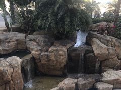 -星巴克臻选(湛江鼎盛广场店)