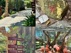 -三亚蜈支洲岛旅游区