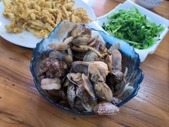 -小叶大馅饺子城