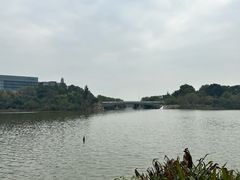 -华侨城湿地公园