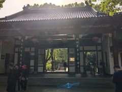 -南汇桃花村
