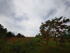 -中国科学院西双版纳热带植物园