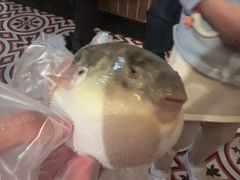 -永安鱼庄·镇江菜(丁卯店)