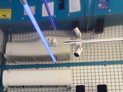 -移动谜城·大笨象密室逃脱(五棵松店)