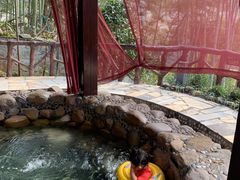 -宜春明月山维景国际温泉度假酒店