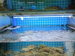 -老东镇啤酒屋海鲜加工·蒸汽海鲜·海鲜烧烤(台东店)