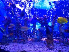 -太平洋海底世界