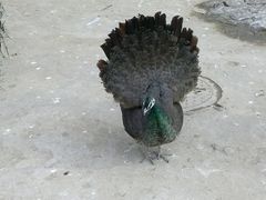 android_upload_pic-迎泽公园