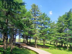 -芦芽山旅游度假区