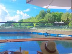 -天津湾西餐厅(三亚海棠湾洲际度假酒店)