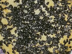 黑芝麻椒盐饼-北京稻香村(望京新世界店)