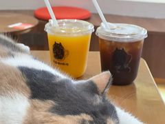 -有猫主题·治愈系猫咖(曾厝垵店)