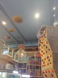 点击看大图 -卡通尼·Safari非洲探索乐园·生日会(金桥国际商业广场店)