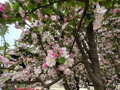 -元大都城垣遗址公园