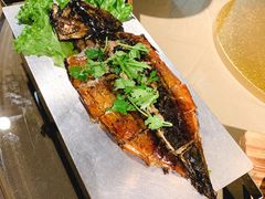 -铂米星座(瑞安店)
