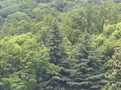 -狼山风景名胜区