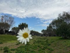 -汉长安城未央宫国家考古遗址公园