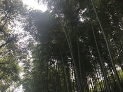 -上海市保健医疗中心