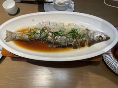 古法酒香蒸白鱼-浔庐餐厅•江西老字号•九江菜(烟水亭店)