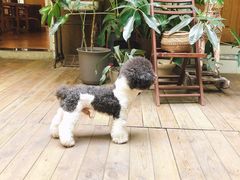 -懒鱼时光馆(沙坪坝店)