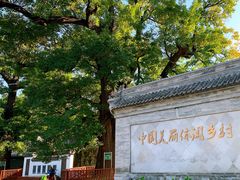 -康陵正德春饼宴26号