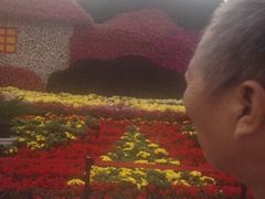 iphone_upload_pic-迎泽公园