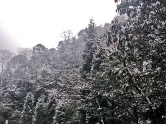 -西岭雪山大飞水景区