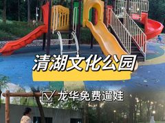 -清湖文化公园