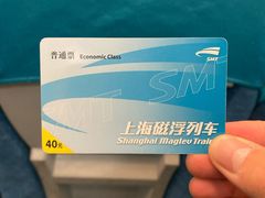 -龙阳路磁悬浮列车总站-停车场