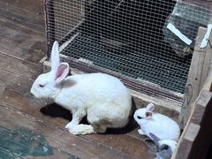 -HERRE·FARM 赫尔露营农场·团建聚会包场