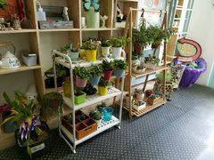 -Kitchen·Y洋厨房西餐厅(王府壹号店)