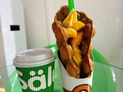 -Salud撒露欧洲冻酸奶(北苑上品店)