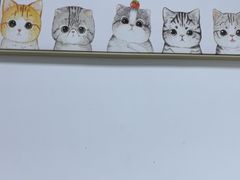 -嘉馨宠物医院·CT影像转诊·心脏科·犬猫全科诊疗中心(下沙大学城院区)