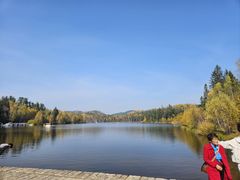 -五营红松林海景区