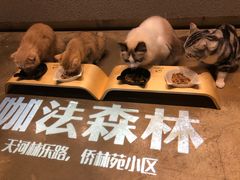 -咖法森林·咖啡  酒吧(天河店)