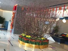 -万德诺富特酒店·自助餐厅(万德大厦店)