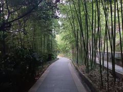 -龙头寺公园