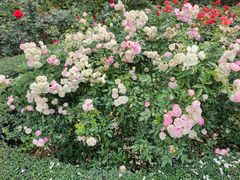 -人民公园(罗湖区)