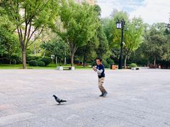 -迎泽公园
