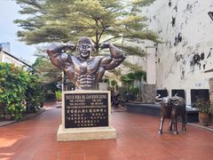 -马六甲鸡场街