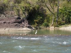 -九曲溪竹筏码头